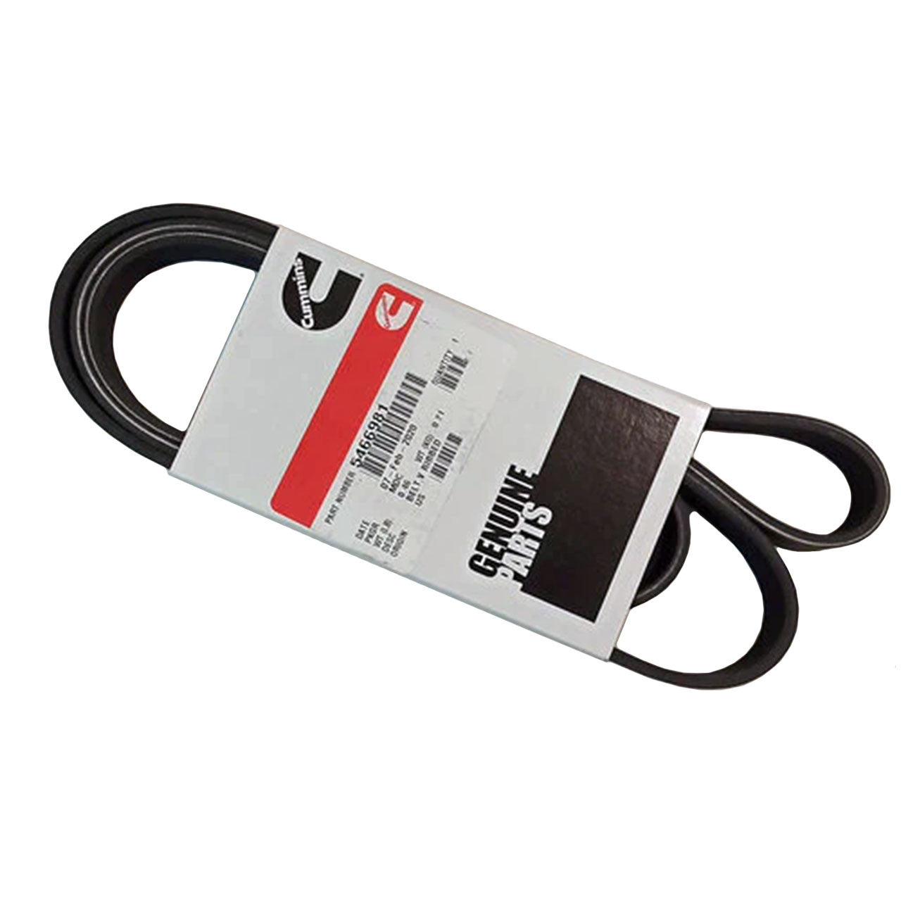 Cummins V-Ribbed Belt - 5466981