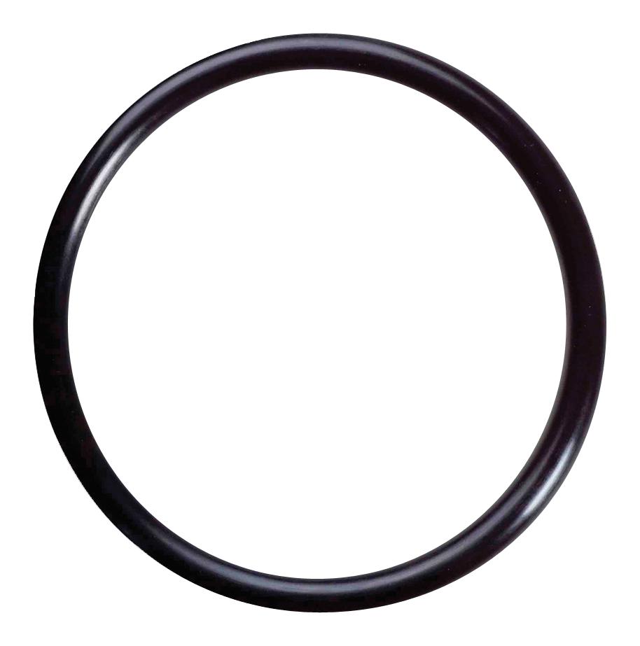 29. O-RING - 891935
