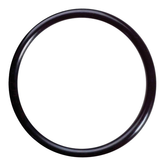 Mercury O-RING - 891935