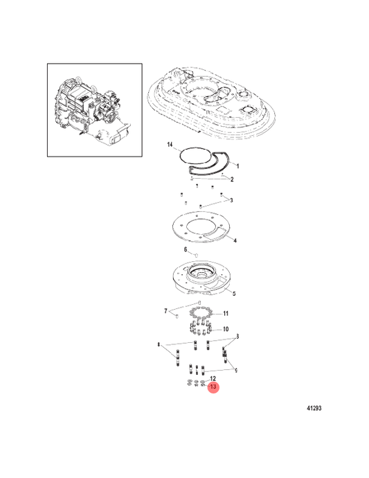 13. NUT - 896895